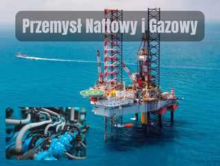 Przemysł Naftowy i Gazowy