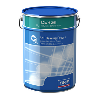 LGWM 2/5 SKF Smar